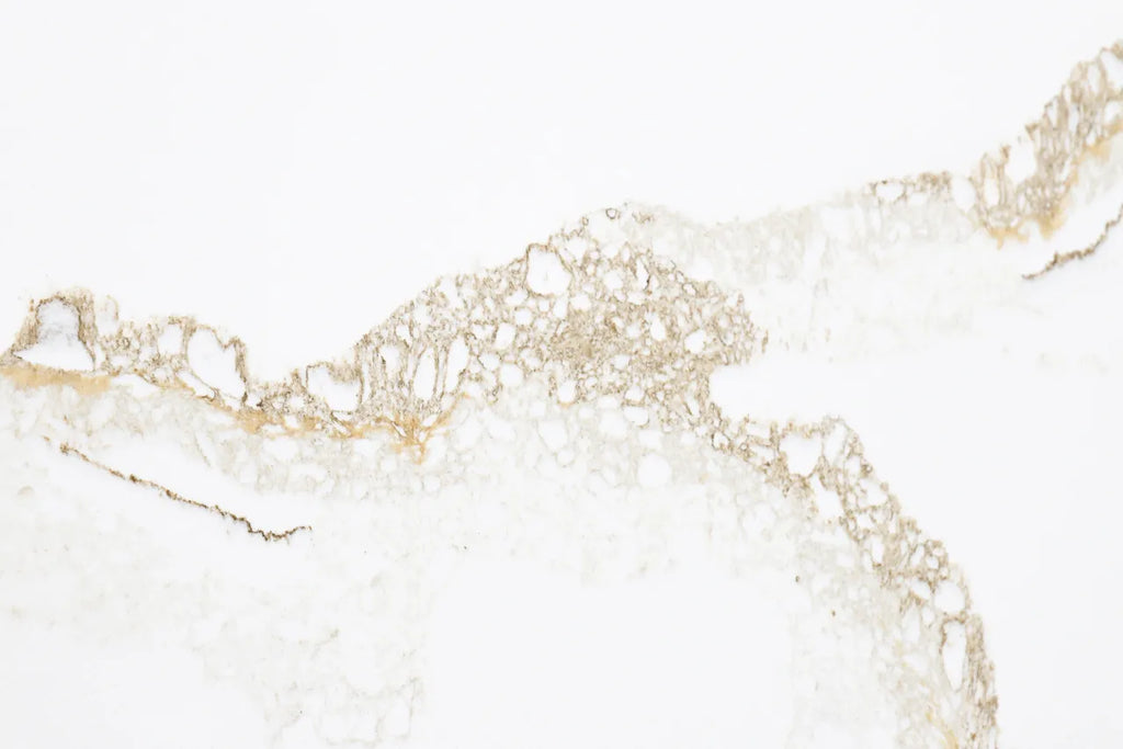 CNTR07 Quartz Countertop