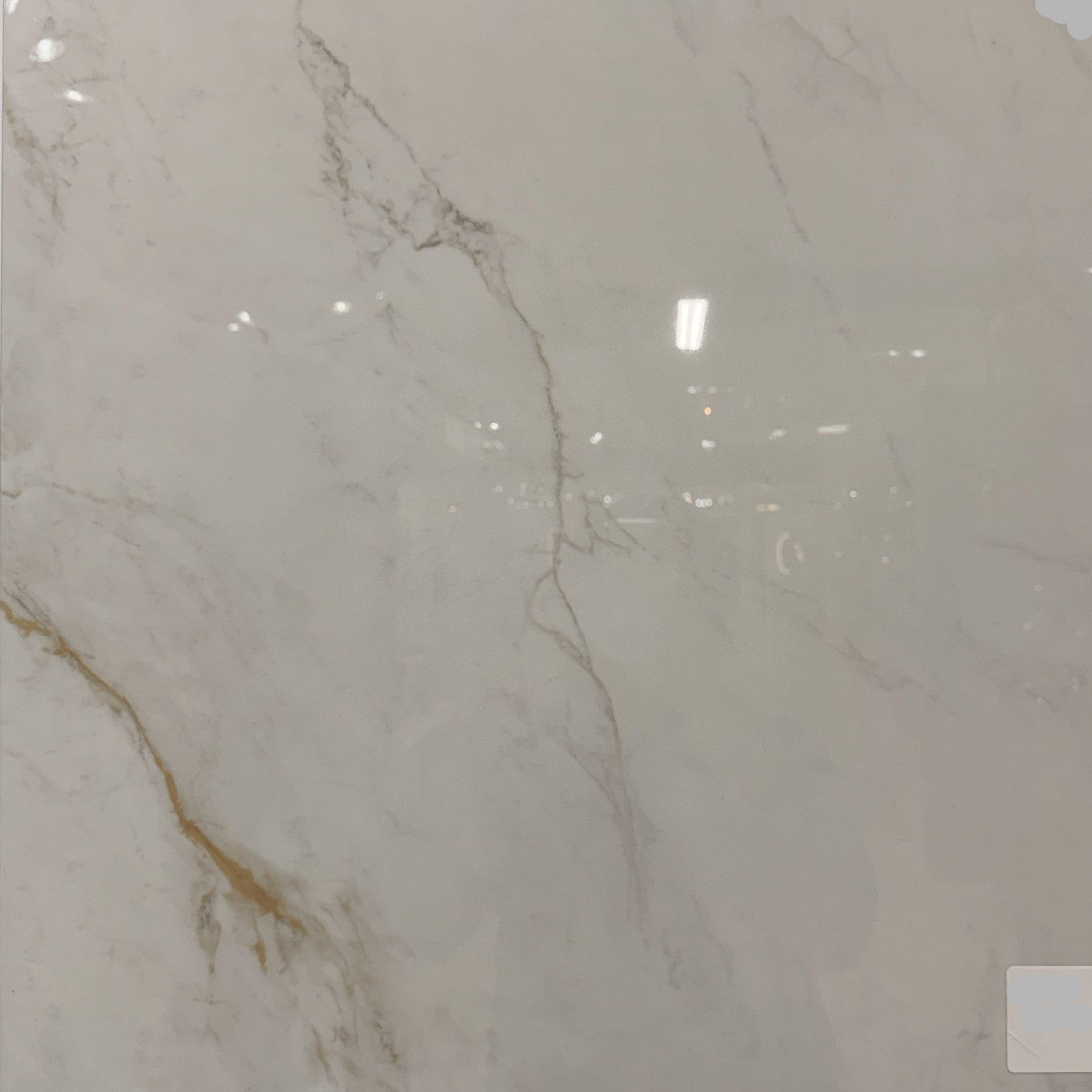 JKM242405 24x24 Polished Porcelain Tiles