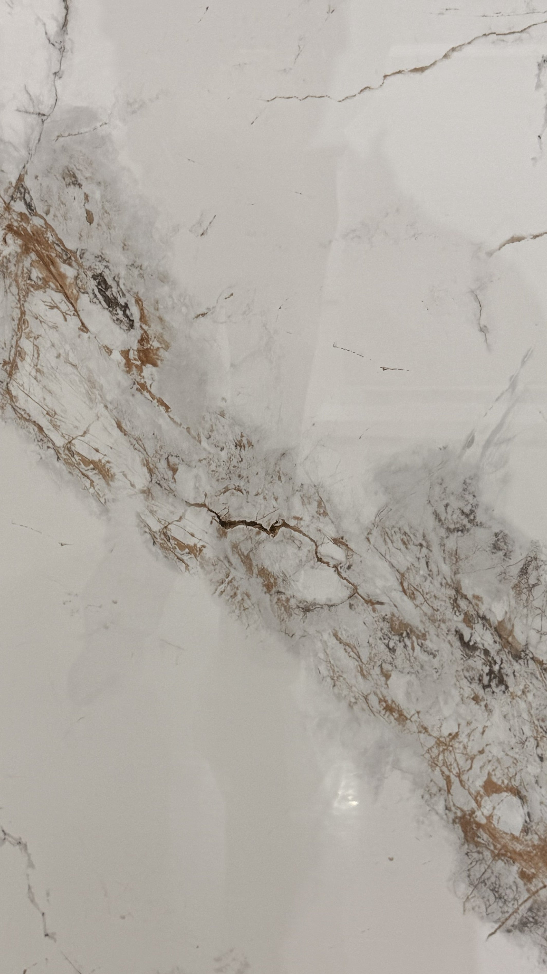 JKM244809 24x48 Polished Porcelain Tiles